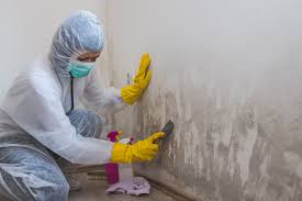 Best Commercial Mold Inspection  in Conashaugh Lakes, PA